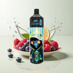 Grossista Italia JNR Alien Max 18000 Dual Core Mirtillo Lampone