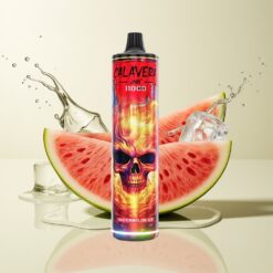 Grossista Italia JNR Calavera 11000 Puff 850mAh Anguria Ghiaccio