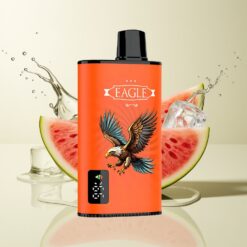 Grossista Italia JNR EAGLE Smart 23000 Puffs Schermo Digitale Anguria Ghiaccio