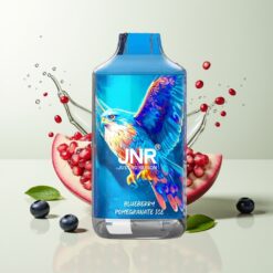 Grossista Italia JNR Falcon 16000 Puff Mirtillo Melograno Ghiaccio