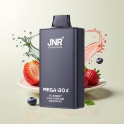 Grossista Italia JNR Mega Box 25000 Puff Dual Core Mirtillo Lampone Fragola