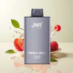 Grossista Italia JNR Mega Box 25000 Puff Dual Mesh Fragola Lampone Ciliegia Ghiaccio