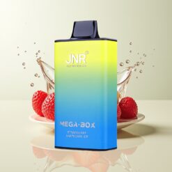 Grossista Italia JNR Mega Box 25000 Puff Dual Mesh Fragola Lampone Ghiaccio