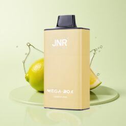 Grossista Italia JNR Mega Box 25000 Puff Dual Mesh Limone & Lime