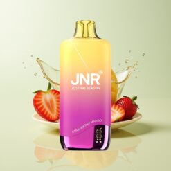 Grossista Italia JNR Rainbow 10500 Puff 18ml Fragola Mango