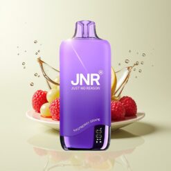 Grossista Italia JNR Rainbow 10500 Puff Mesh Lampone Uva