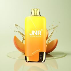 Grossista Italia JNR Rainbow 10500 Puff Mesh Mango Pesca