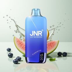 Grossista Italia JNR Rainbow 10500 Puff Mesh Mirtillo Ghiaccio