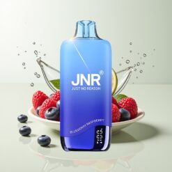 Grossista Italia JNR Rainbow 10500 Puff Mesh Mirtillo Lampone