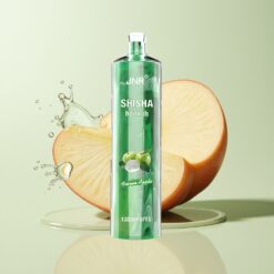 Grossista Italia JNR Shisha Hookah 12000 Puff Mela Congelata