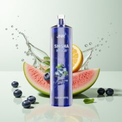 Grossista Italia JNR Shisha Hookah 12000 Puff Ricarica Rapida Mirtillo Ghiaccio