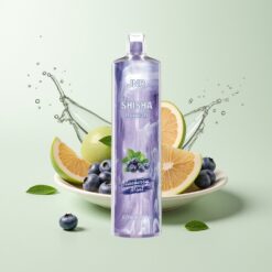 Grossista Italia JNR Shisha Hookah 12000 Puff Tipo-C Menta Mirtillo Blu