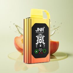 Grossista Italia JNR Shisha Hookah Box 20500 Puff Dual Mesh Coil Pesche Succose