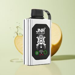 Grossista Italia JNR Shisha Hookah Box 20500 Puff Dual Mesh Mela Doppia