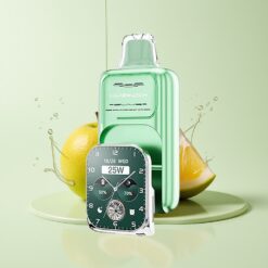 Grossista Italia JNR VapeWatch 30000 Puff Dual Mesh Miami Menta