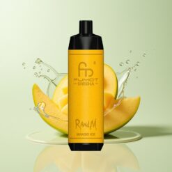 Grossista Italia RandM Fumot Shisha 10000 Puff Mango Ghiaccio Svapare