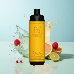 Grossista Italia RandM Fumot Shisha 10000 Puff Menta Blu Lampone Limonata