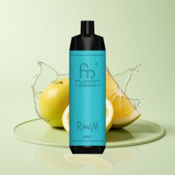 Grossista Italia RandM Fumot Shisha 10000 Puff Menta Svapare