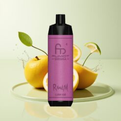 Grossista Italia RandM Fumot Shisha 10000 Puff Tipo-C Ghiaccio Lussureggiante