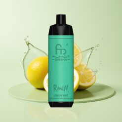 Grossista Italia RandM Fumot Shisha 10000 Puff Tipo-C Limone Menta