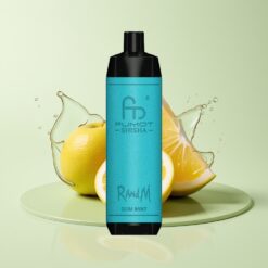 Grossista Italia RandM Fumot Shisha 10000 Puff Tipo-C Menta Gommoso