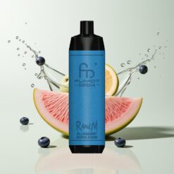 Grossista Italia RandM Fumot Shisha 10000 Puff Tipo-C Mirtillo Bubblegum