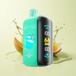 Grossista Italia ELF BAR RAYA D3 25000 Puff Ricaricabile Kiwi Frutto della Passione Guava