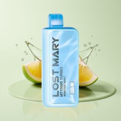 Grossista Italia Lost Mary MT15000 15000 Puff Dual Mesh Menta Invernale