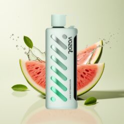 Grossista Italia VOZOL Gear Shisha 25000 Puff S.i.L.C Tech Anguria Menta