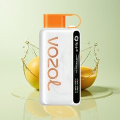 Grossista Italia VOZOL STAR 9000/12000 Mango Ghiaccio Riciclabile