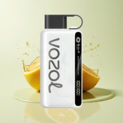 Grossista Italia VOZOL STAR 9000/12000 Puff Riciclato Tabacco