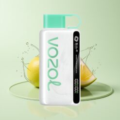 Grossista Italia VOZOL STAR 9000/12000 Puff S.i.L.C TECH Menta Fresca