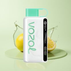 Grossista Italia VOZOL STAR 9000/12000 Ricarica Rapida Limone Menta