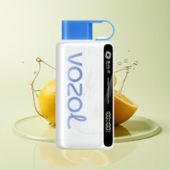 Grossista Italia VOZOL STAR 9000/12000 Ricarica Veloce Mela Verde