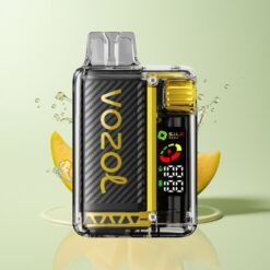 Grossista Italia VOZOL Vista 20000 Puff Ricaricabile Ghiaccio Mango