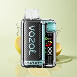 Grossista Italia VOZOL Vista 20000 Puff Ricaricabile Mela Verde Ghiaccio