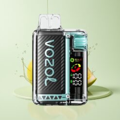 Grossista Italia VOZOL Vista 20000 Puff Ricaricabile Menta Miami