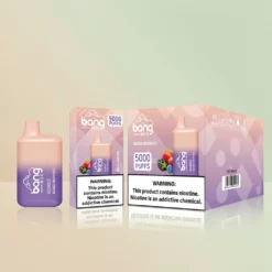 Grossista Italia+BANG BOX+BC+5000+650mAh+Fragola Ghiaccio