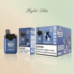Grossista Italia BANG DE 8500 Puffs Mesh Coil 12 Flavors